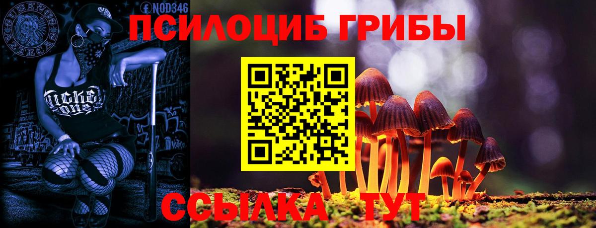Галлюциногенные грибы мухоморы  Вход с VPN  Чистополь 